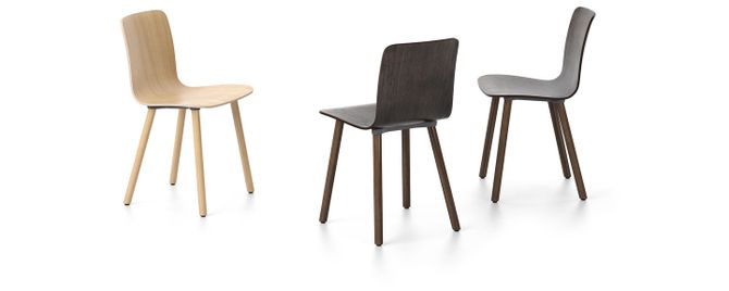 HAL Ply Wood